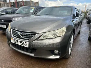 Photo - Toyota Mark X 2010 Brown
