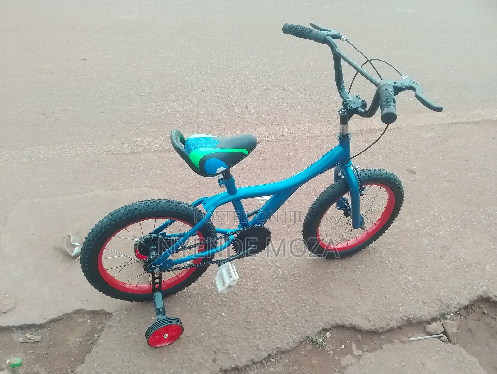 Blue Green Kids Bicycle 