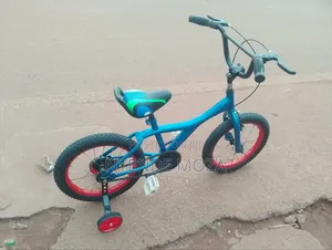 Blue Green Kids Bicycle 