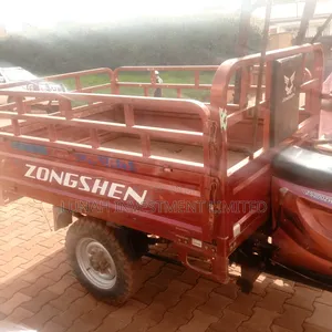 Tricycle 2024 Red