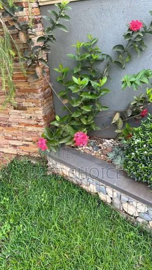Blossoming Beauty,Best Flowers, Plants, Compound Designing