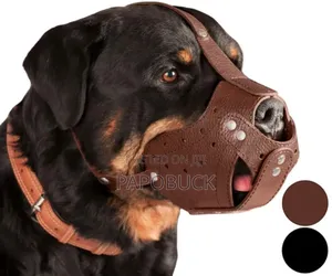 Leather Dog Muzzle