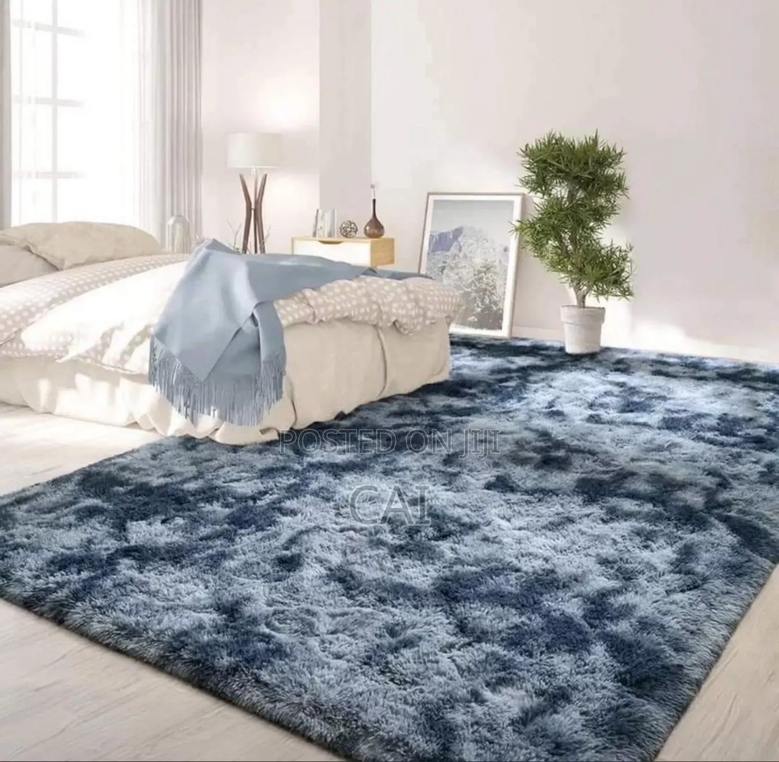 Prize Medium Carpets