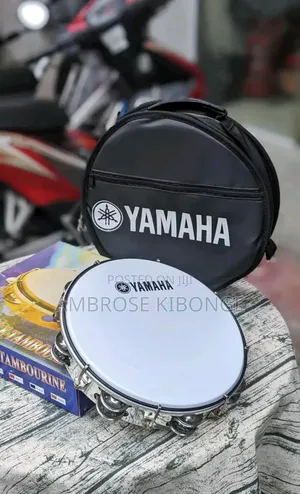 Stainless Steel Drum Percussion Tambourines | FREE Key Tuner
