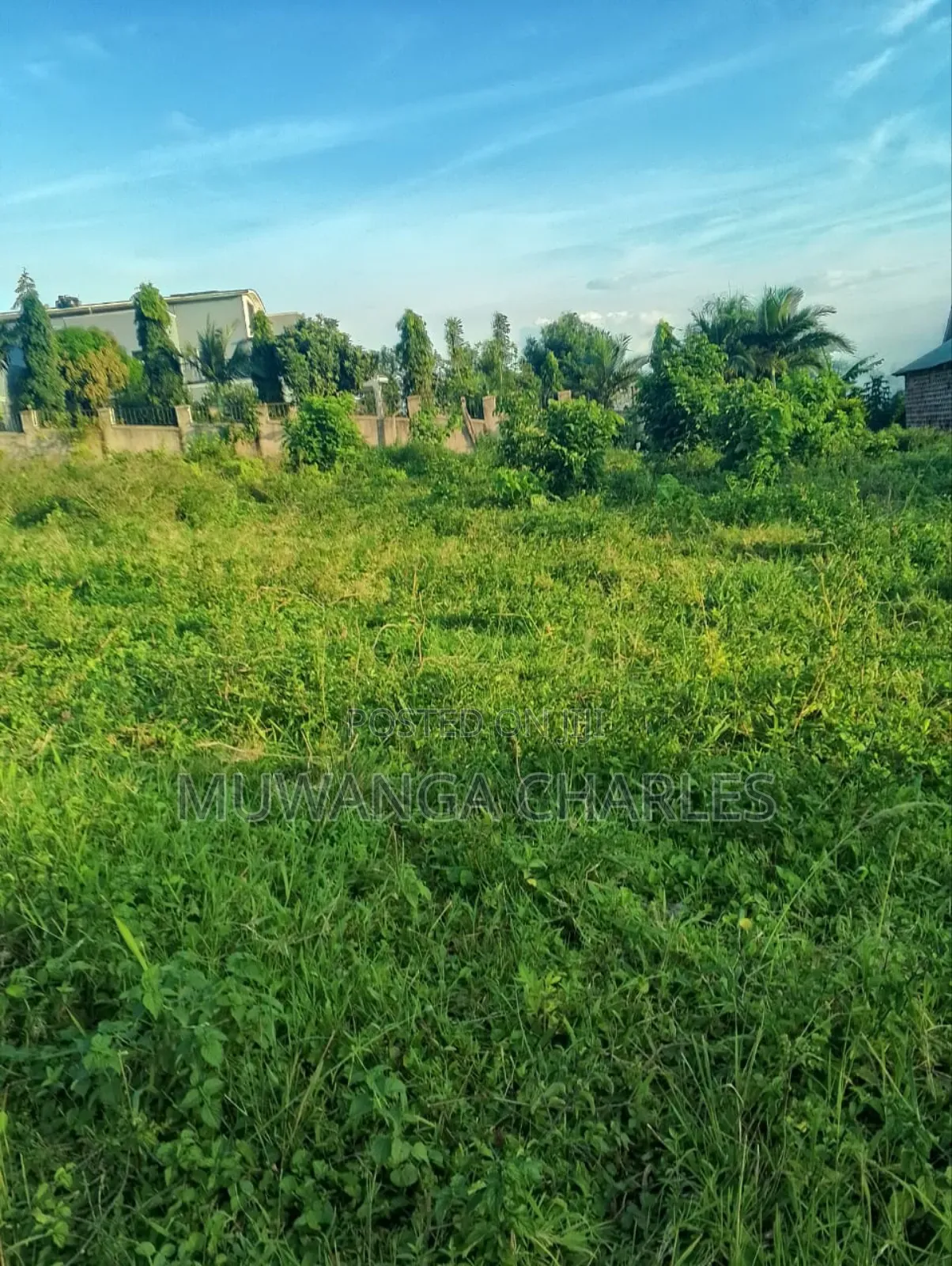 Plot for Sale in Busukuma