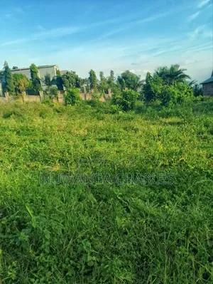 Plot for Sale in Busukuma