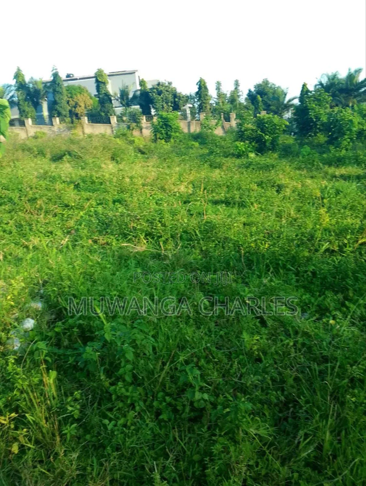 Plot for Sale in Busukuma