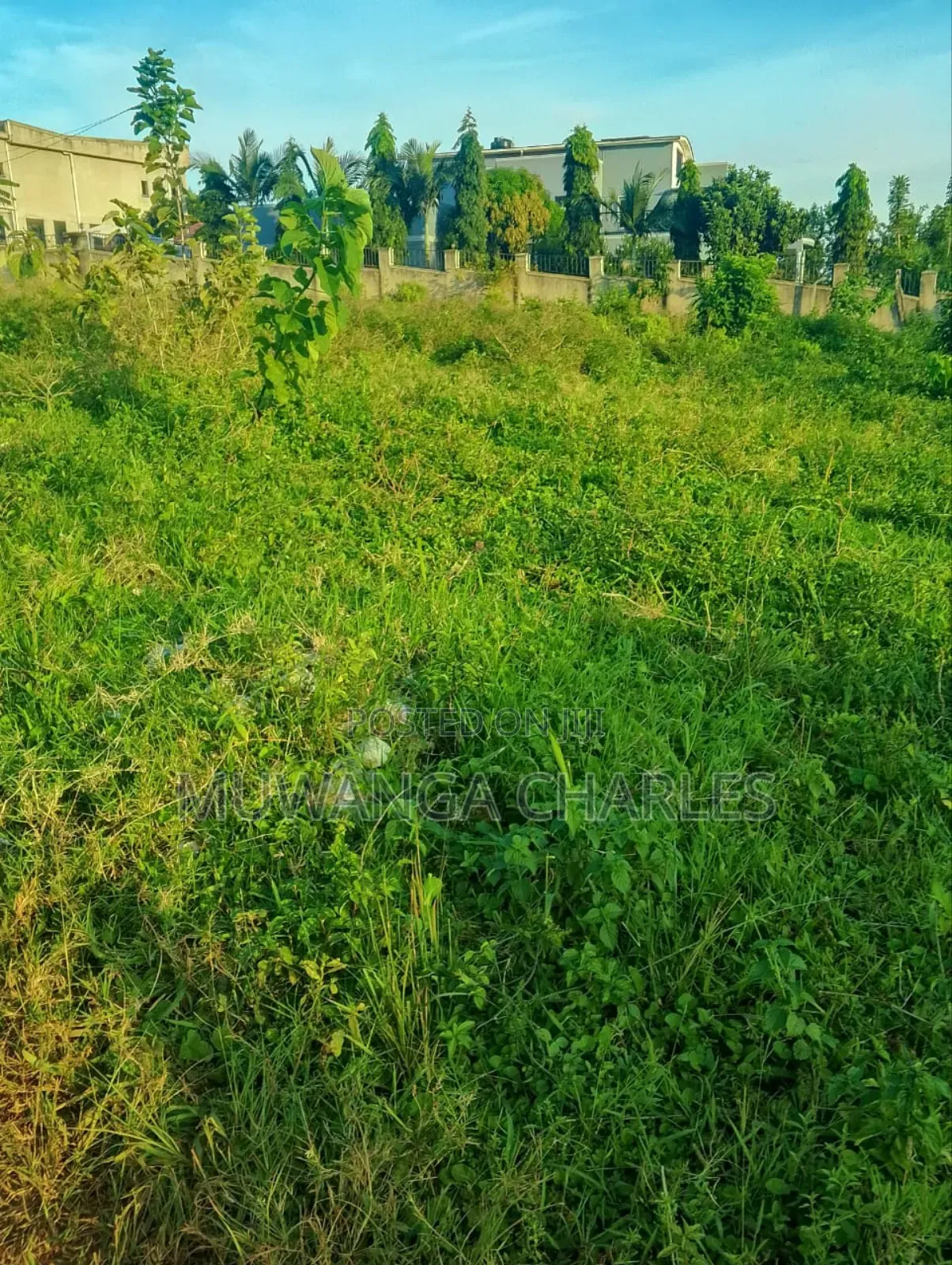 Plot for Sale in Busukuma