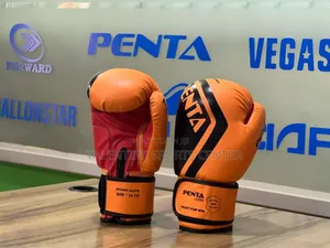 Penta Boxing Gloves Leather Original Material
