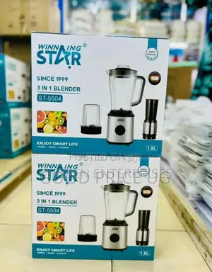 Winning Star 3N1 Blender St-5504
