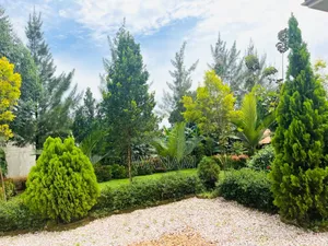 12bdrm House in Namanve, Central Division for sale