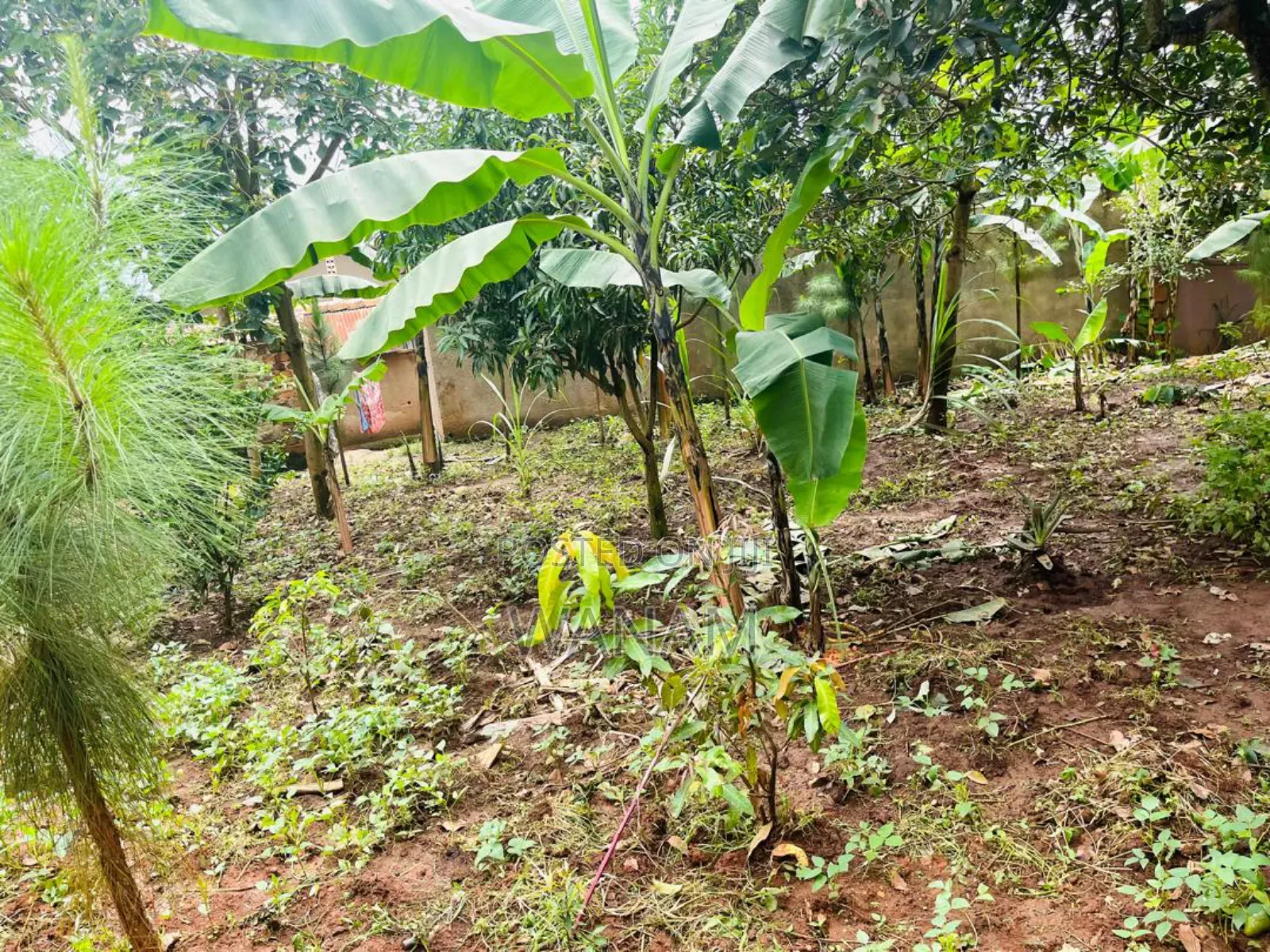 12bdrm House in Namanve, Central Division for sale