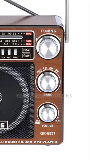 GEEPAS Classic Rechargeable 3 Band USB SD Analog Radio