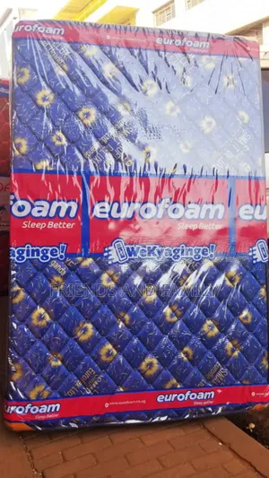 Euro Foam Dulex 6*4*6. Inches