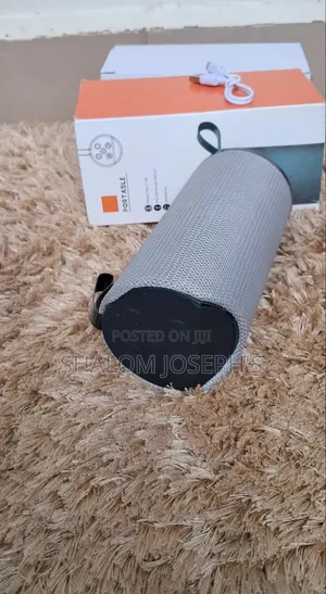 Portable Wireless Speaker - Grey