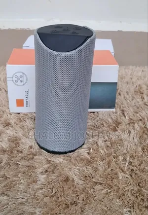 Portable Wireless Speaker - Grey