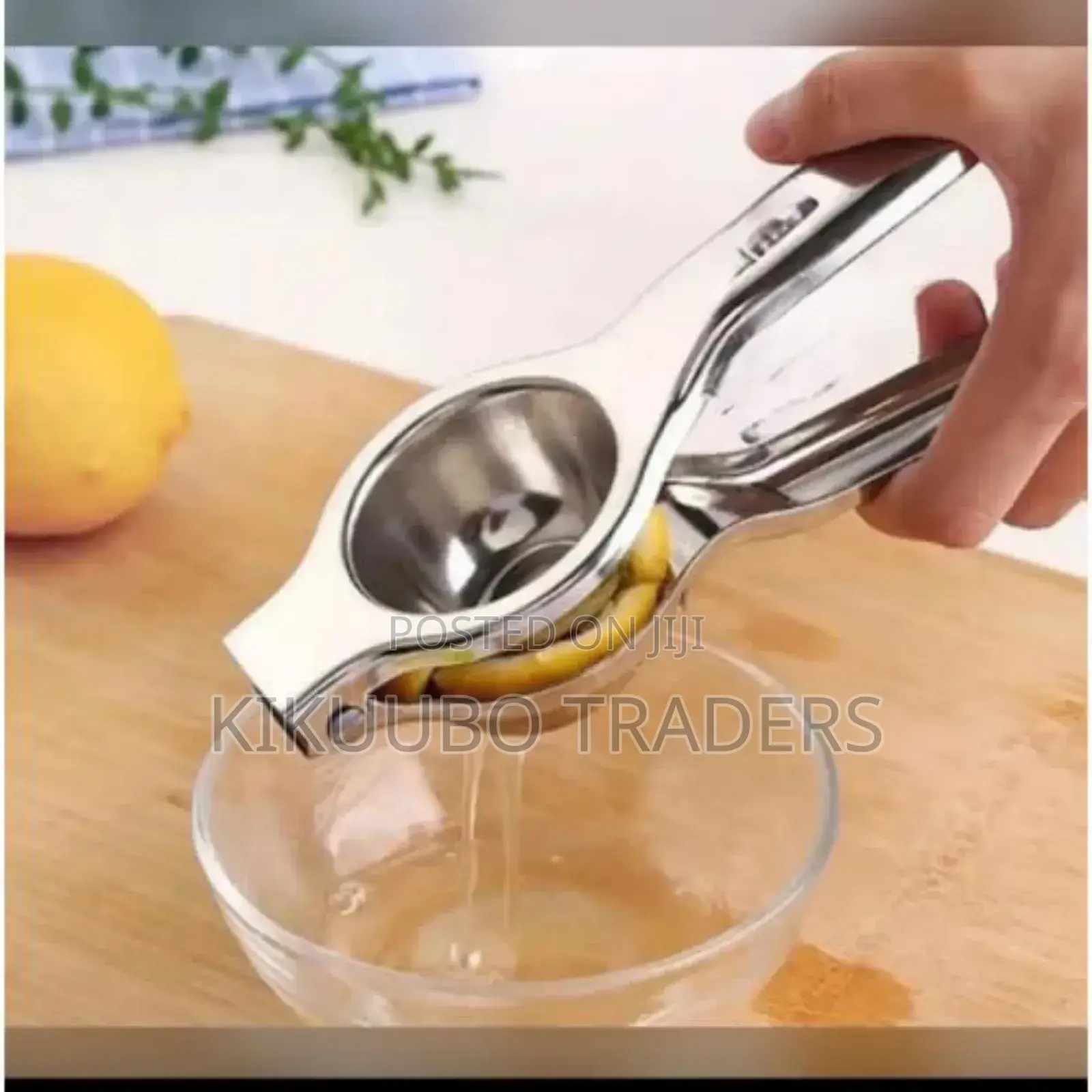 Stainless Steel Citrus Lemon Press