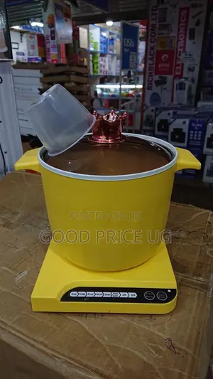 Split Electric Rice Cooker