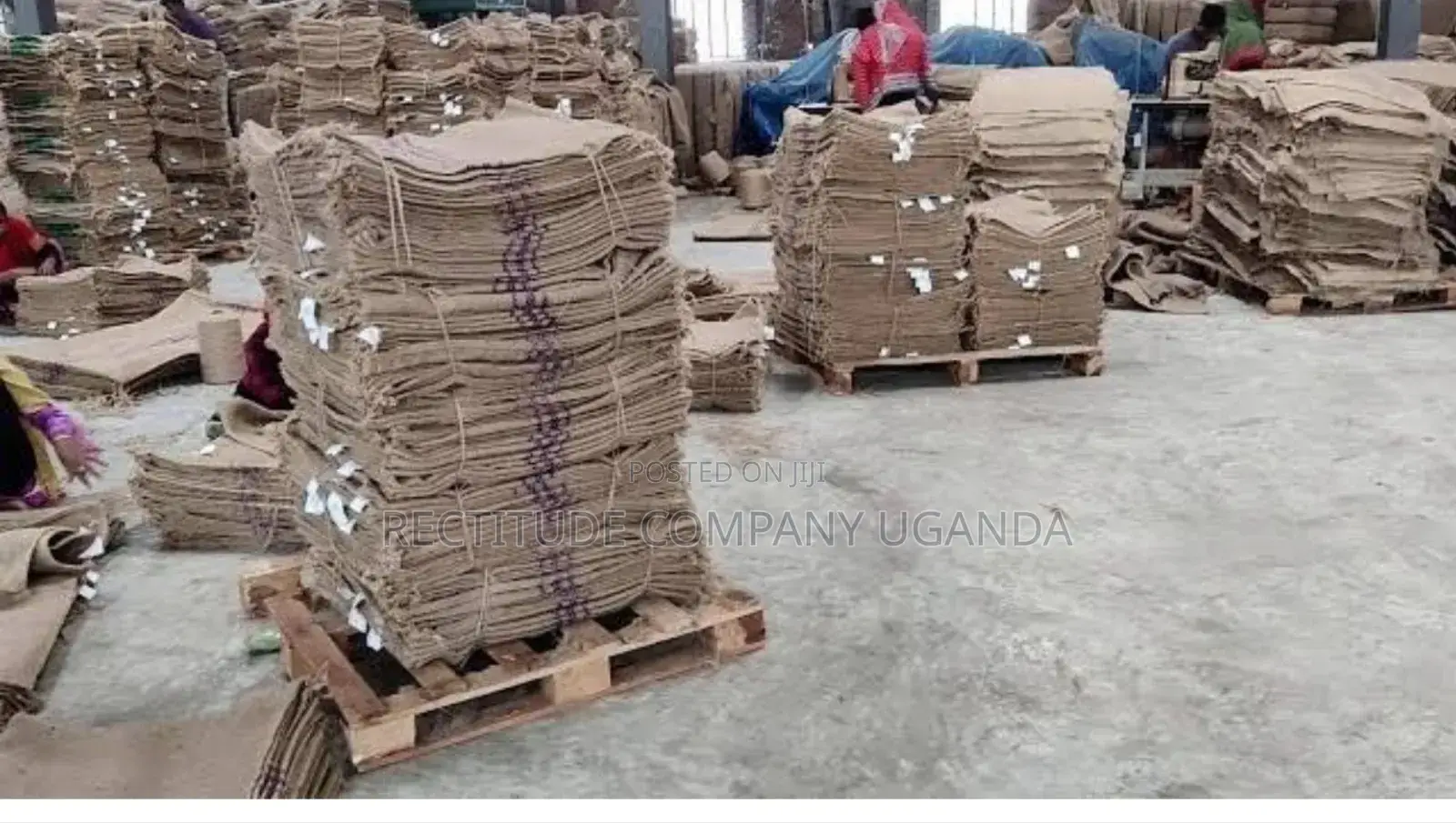 Jute Gunny Bags