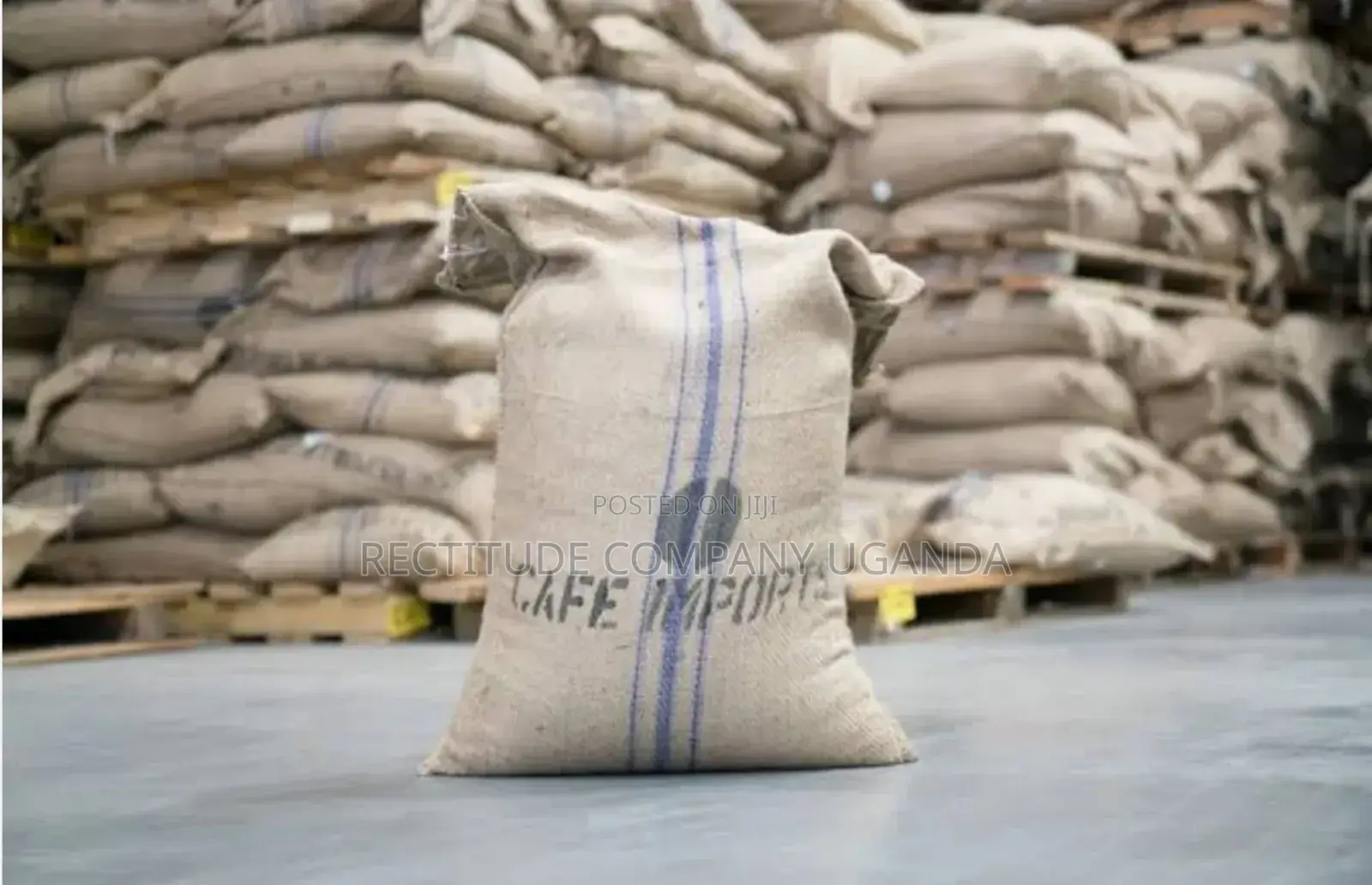 Jute Gunny Bags