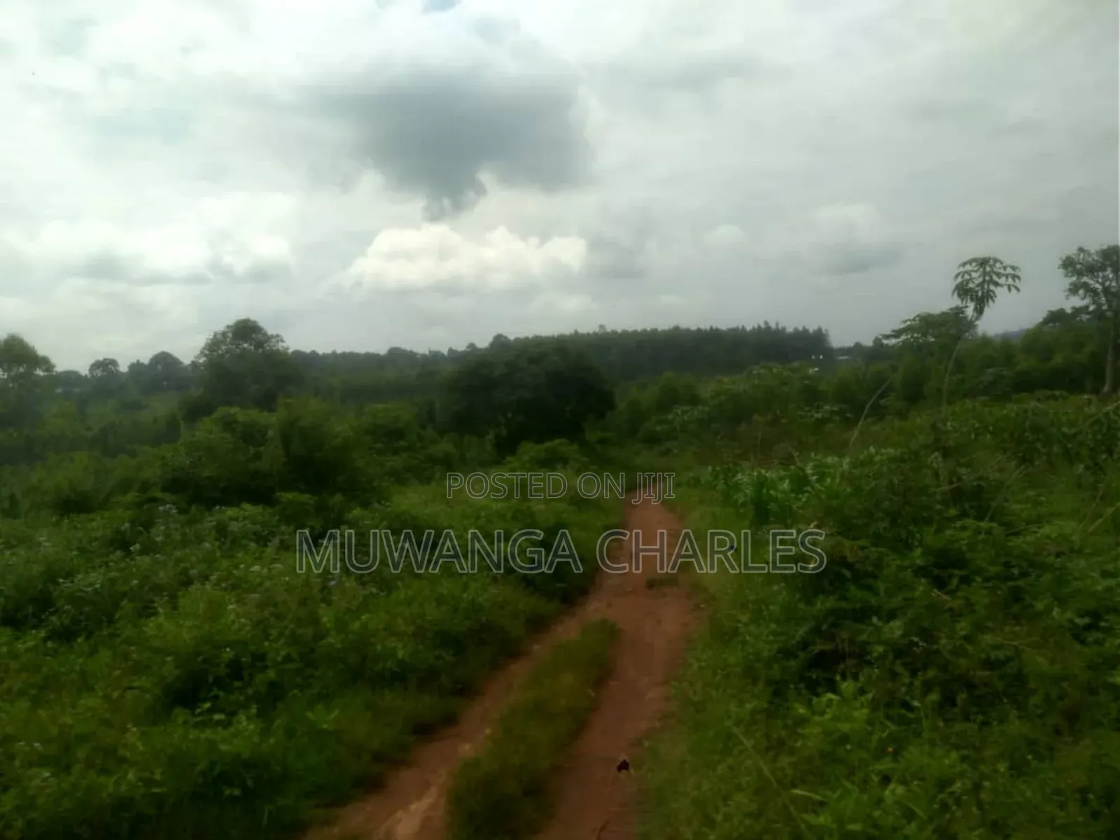 Land for Sale in Luwero