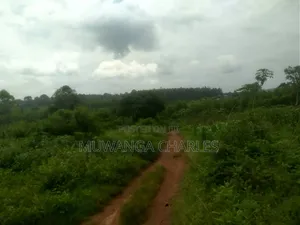 Land for Sale in Luwero