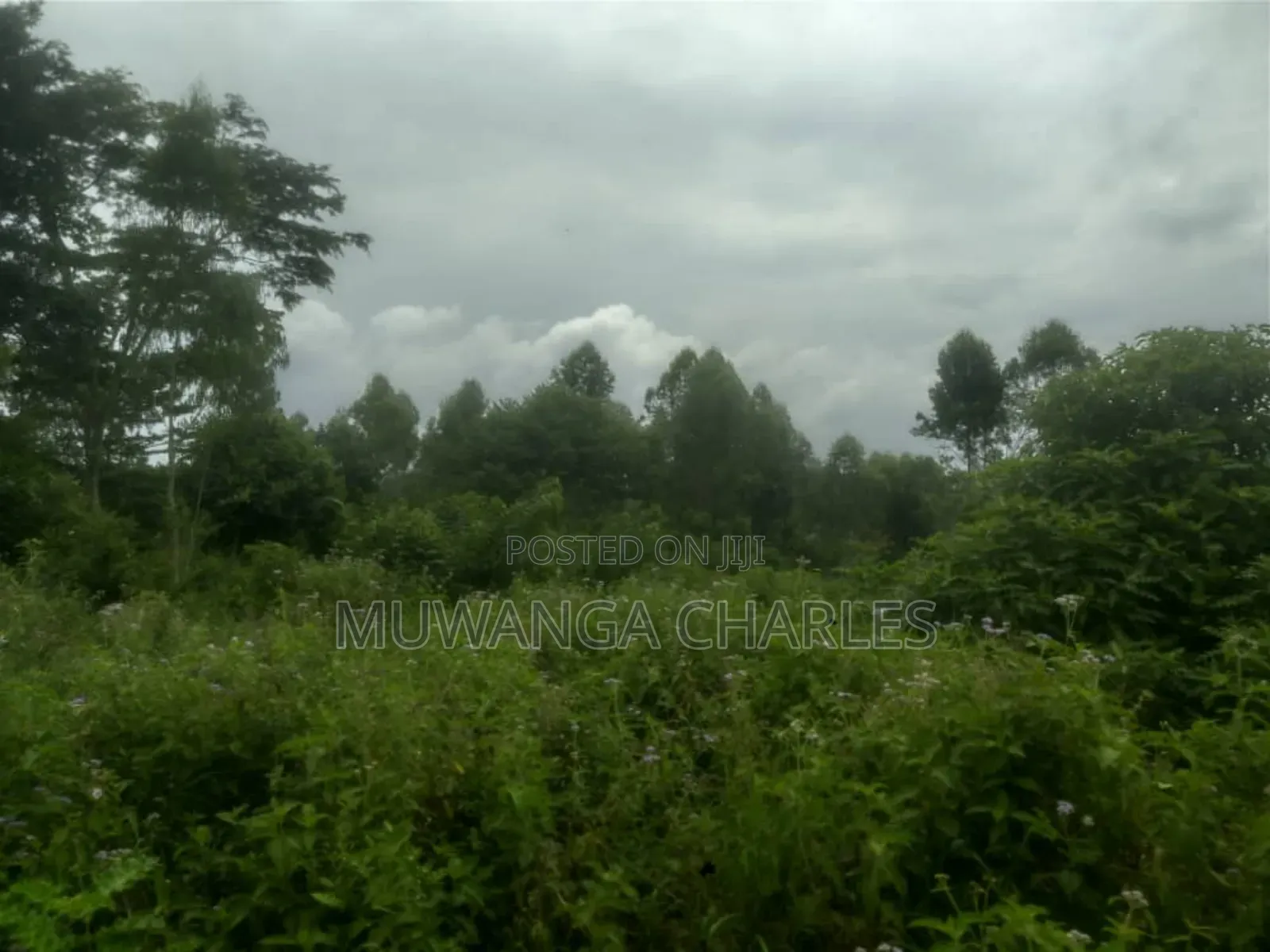 Land for Sale in Luwero
