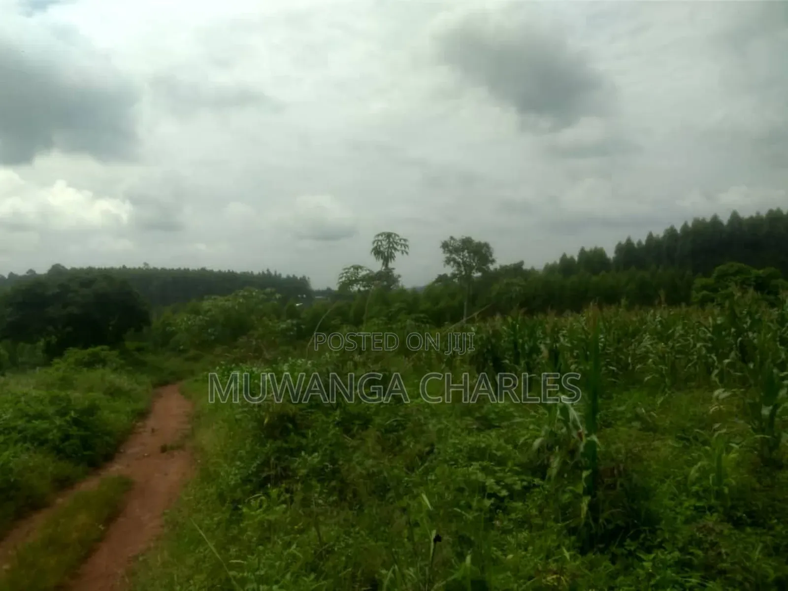Land for Sale in Luwero