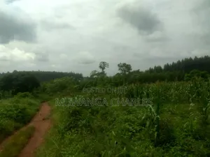 Land for Sale in Luwero