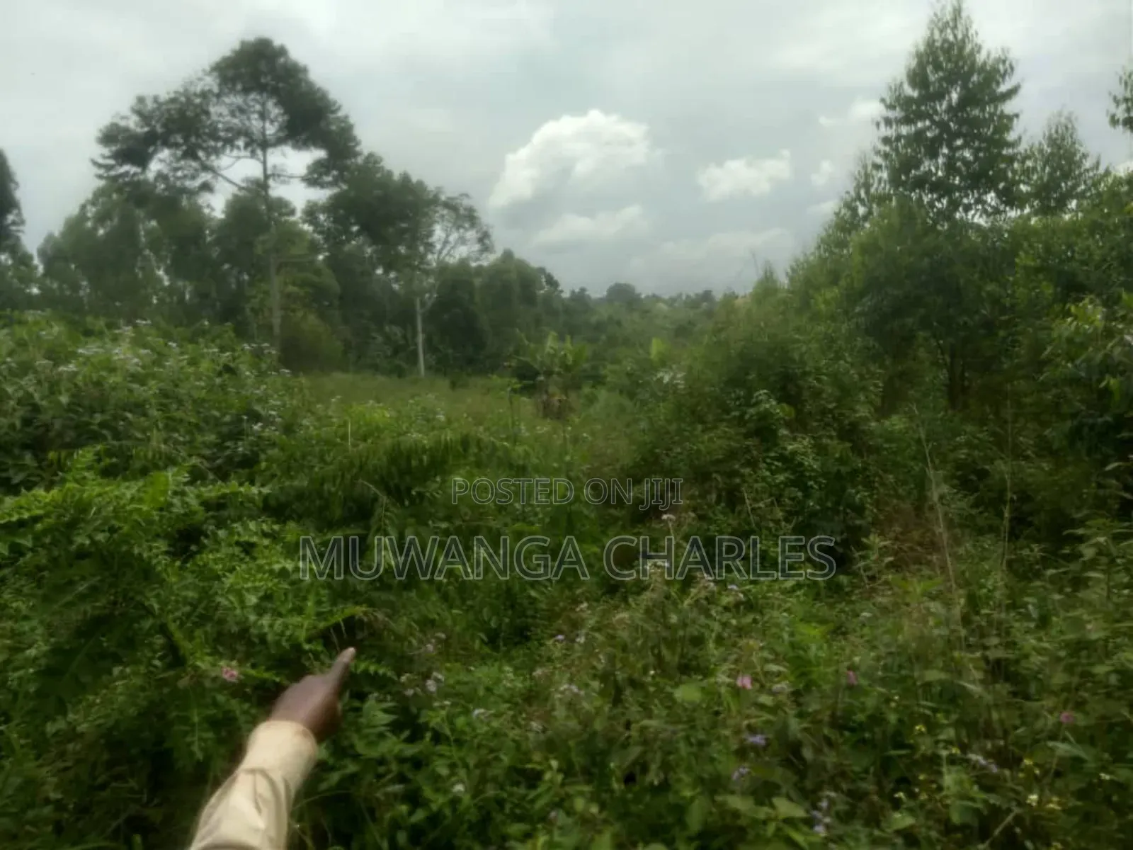 Land for Sale in Luwero