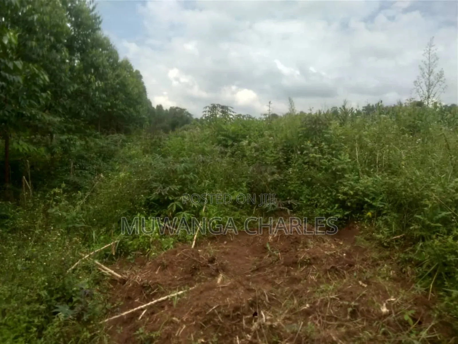 Land for Sale in Luwero