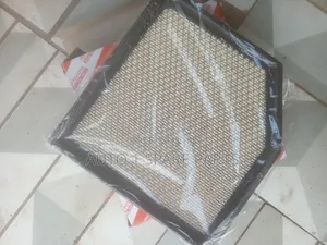 Air Cleaner for Mark X New Model.