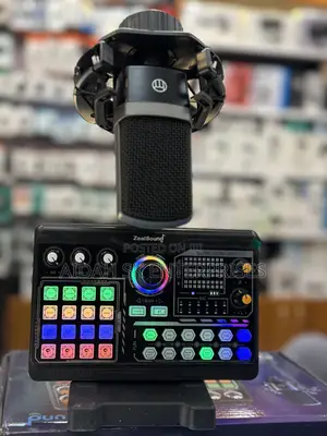 Zeal Sound P300 Podcast Microphone