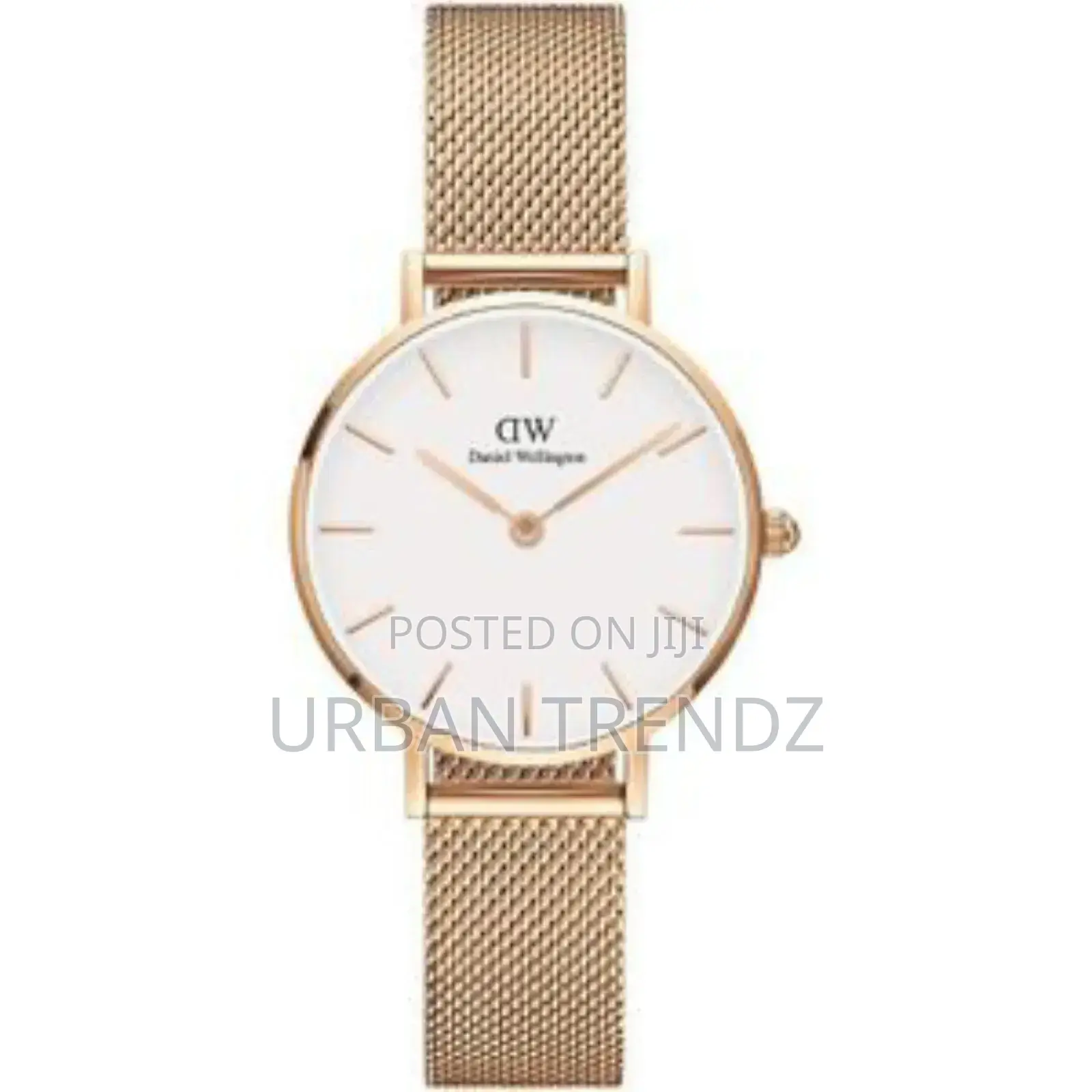 Daniel Wellington Petite Watch Gold Stainless Steel -