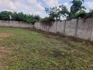 Plot for Sale in Nakwero