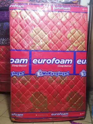 Euro Foam Dulex 6*3*6. Inches