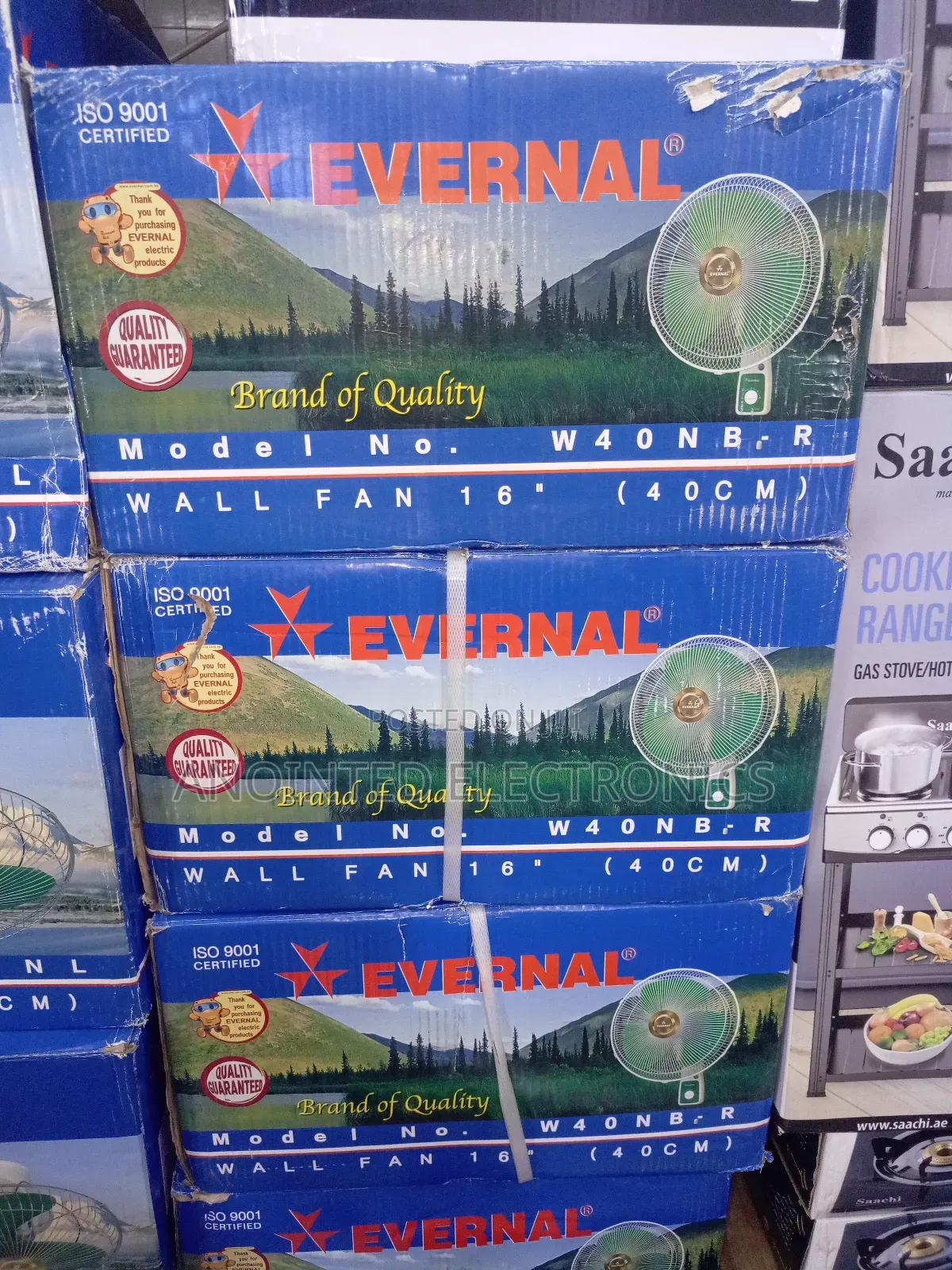 Wall Fan Evernal