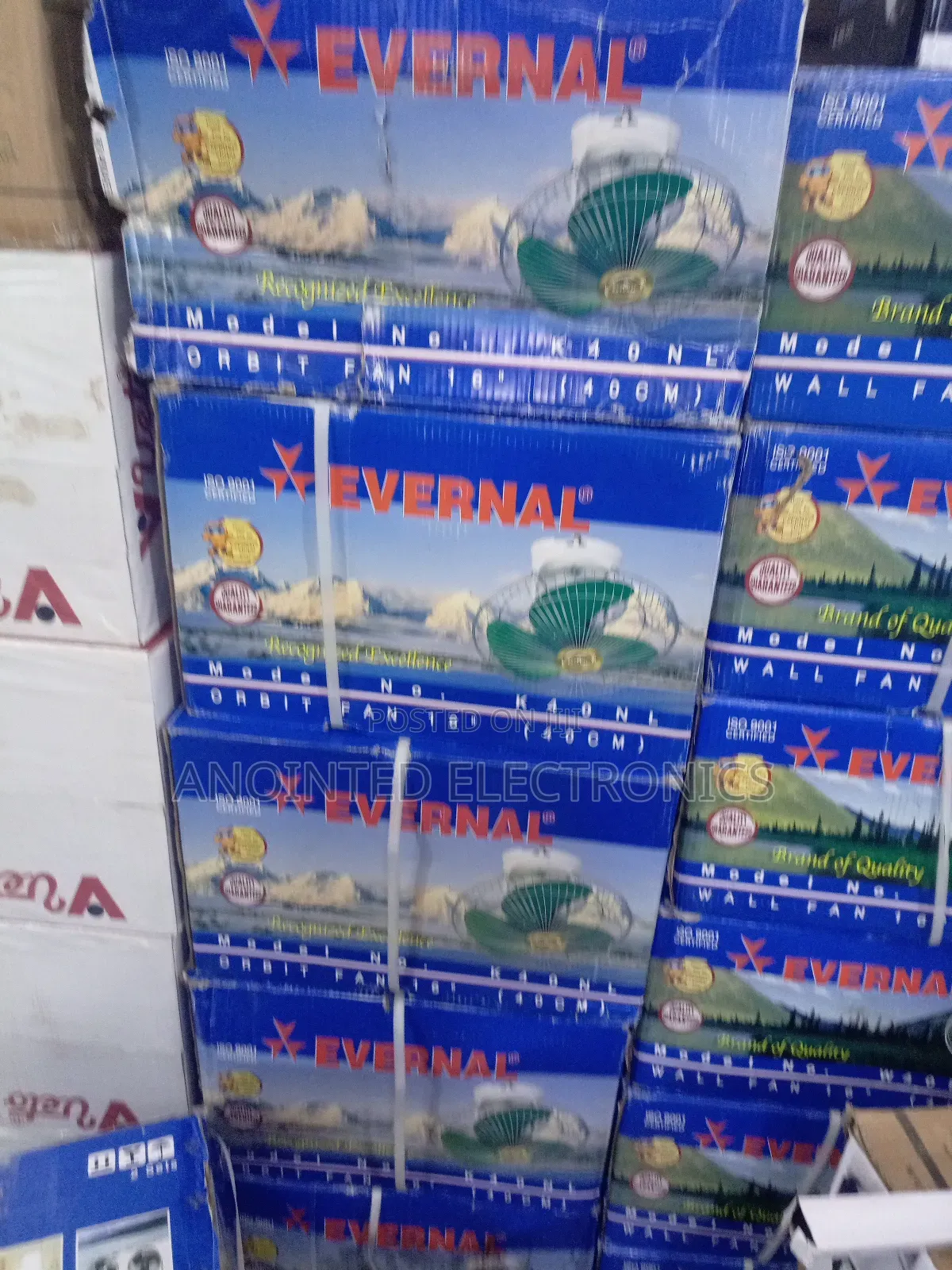 Evernal Ceiling Fan