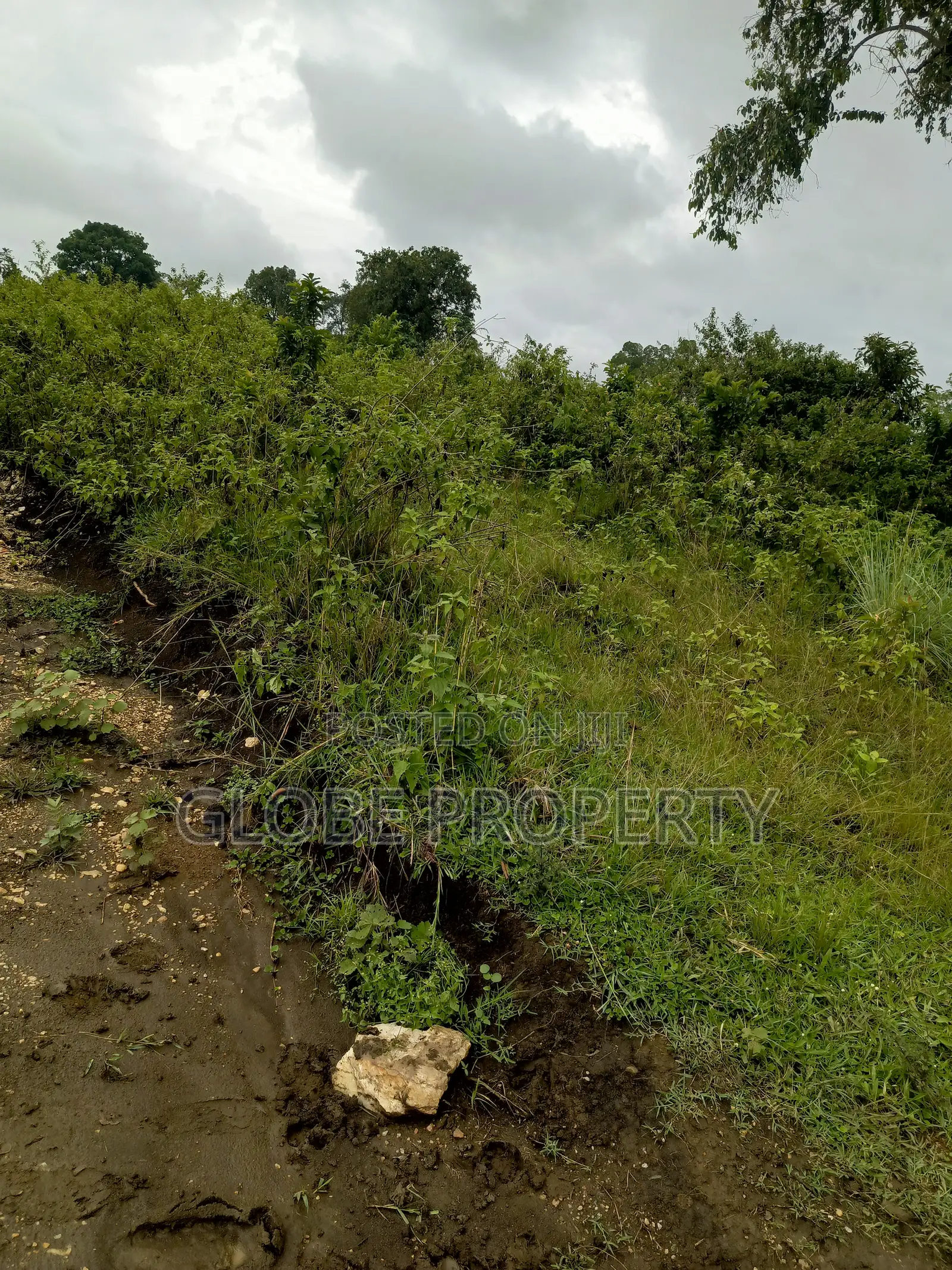 1acre of Land for Sale in Semuto at 42m
