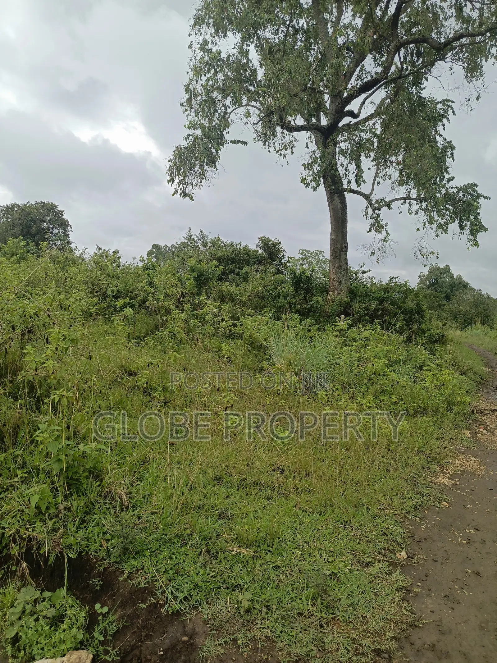 1acre of Land for Sale in Semuto at 42m