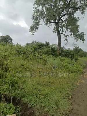 1acre of Land for Sale in Semuto at 42m