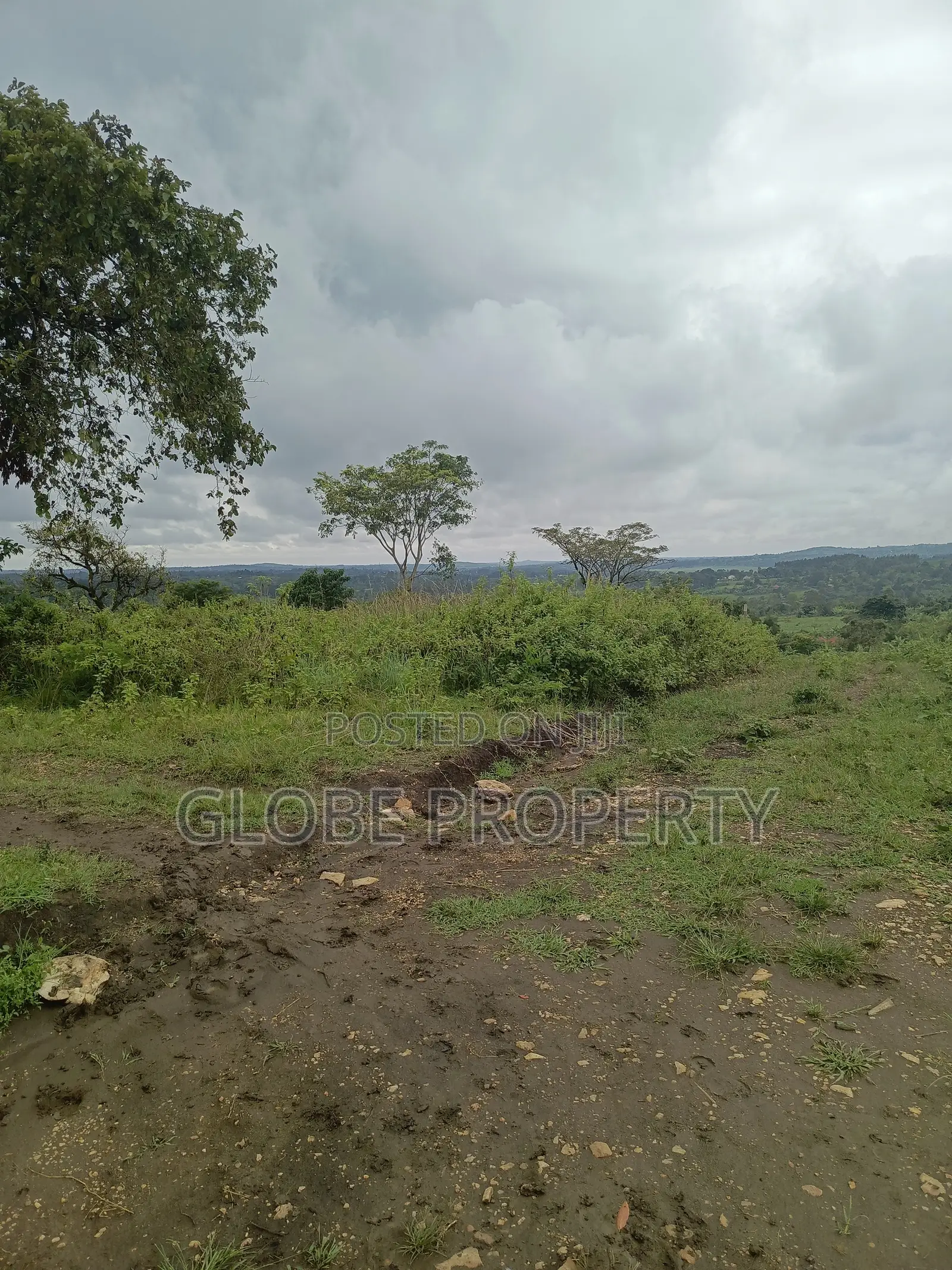 50x50 Plot for Sale in Migade Nabinaka, Gombe Division