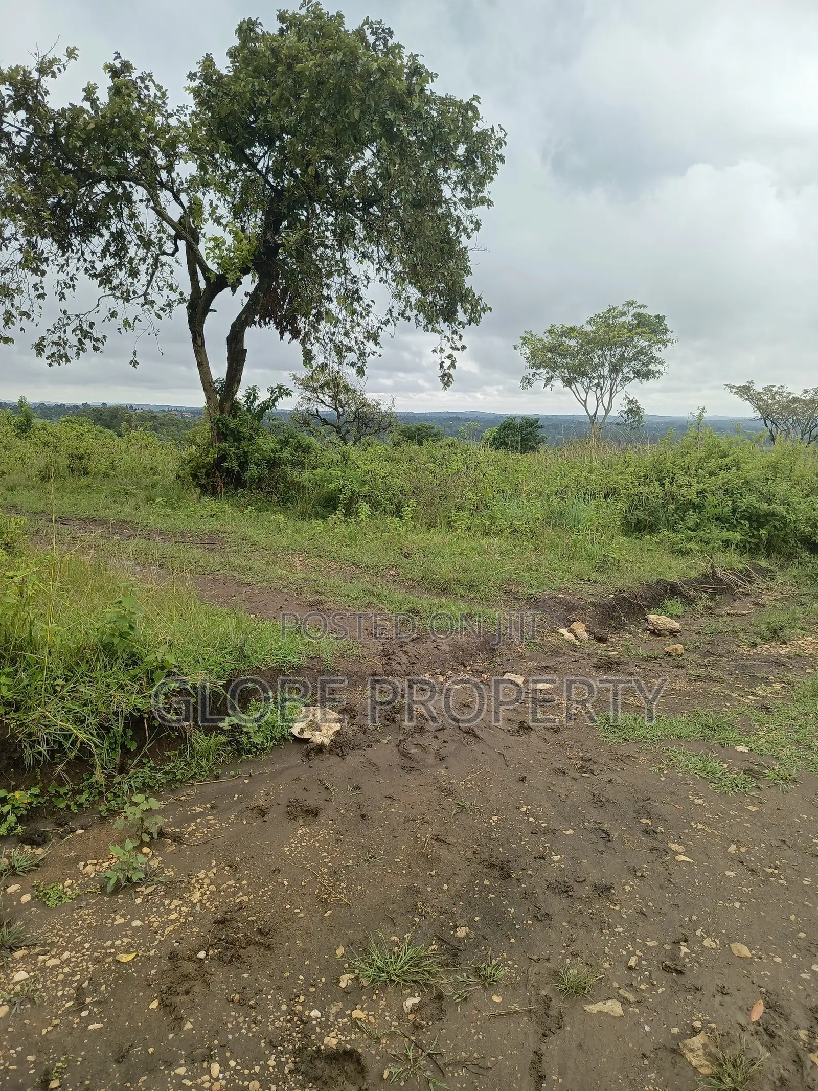 50x50 Plot for Sale in Migade Nabinaka, Gombe Division