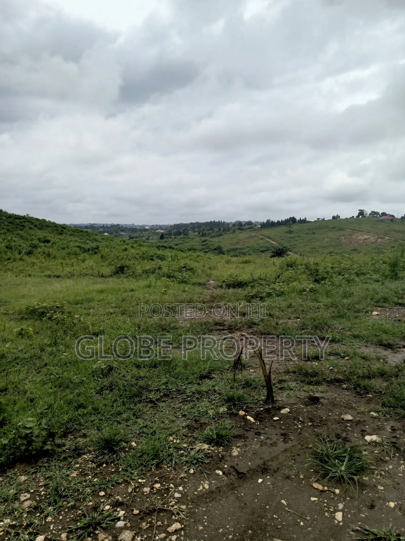 An Acre for Sale in Semuto at Only Ugx 35m