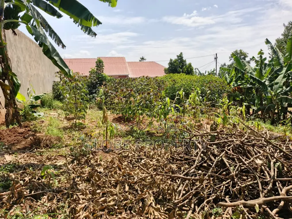 60x30 Plot for Sale in Kalagi