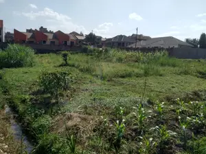50x50 Plot for Sale in Migade Kaaso for Sale