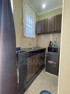 Homely Studio Apartment