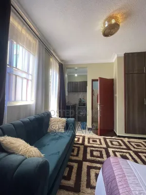 Homely Studio Apartment