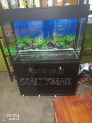Photo - Strong, Neat, Medium Size Aquarium
