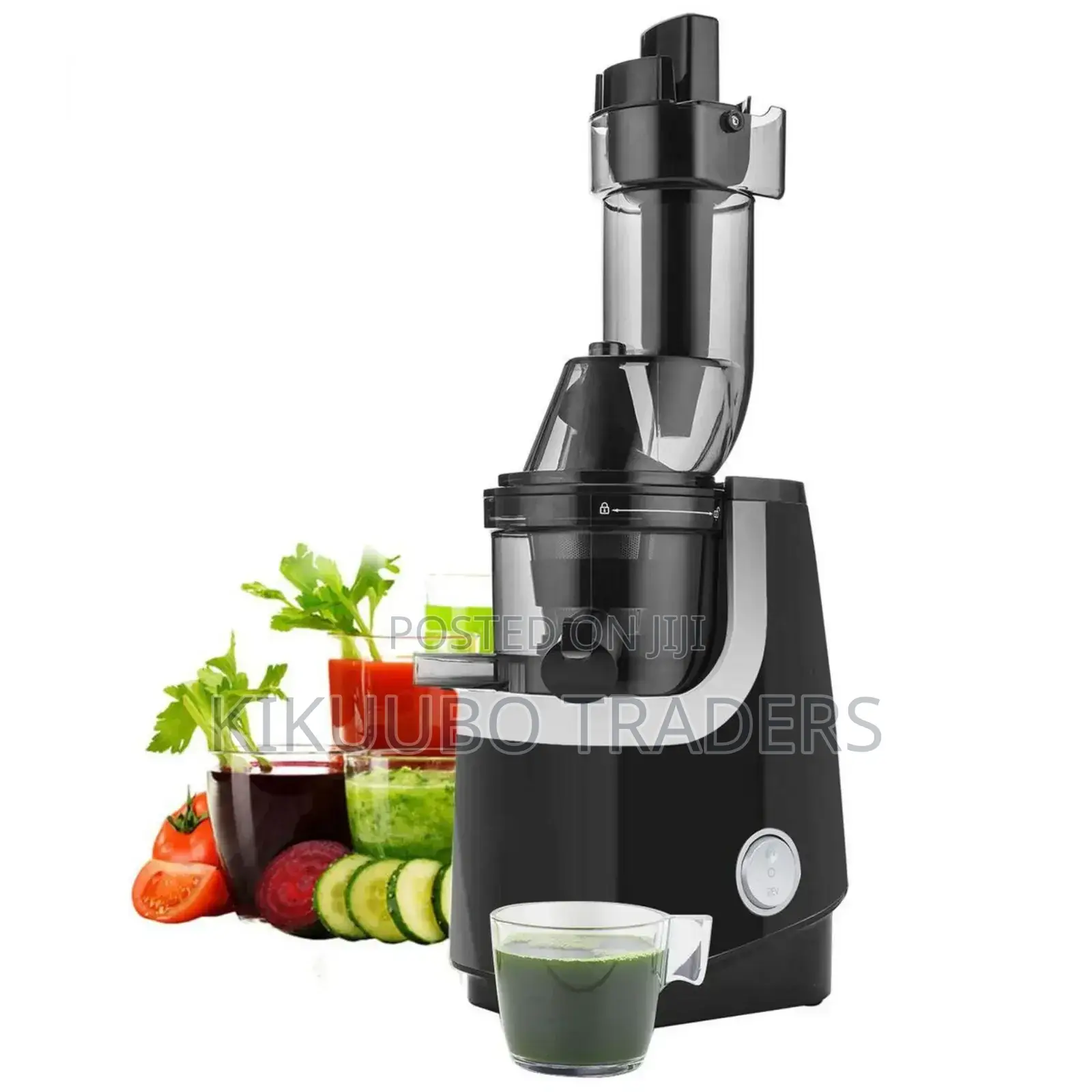 Low Speed Juice Extractor